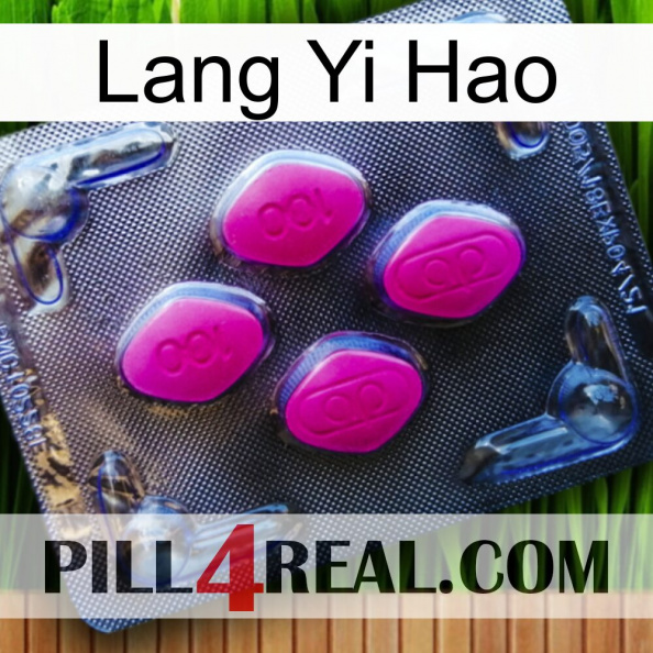 Lang Yi Hao 02.jpg